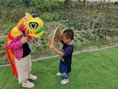 -樂桃源奉贤黄桃种植采摘基地