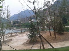 -天鹅湖生态旅游风景区