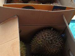 -狮龙啤酒烧烤屋(建二路店)