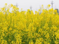 -中国天府农业博览园