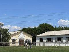 -北京群众马术培训基地