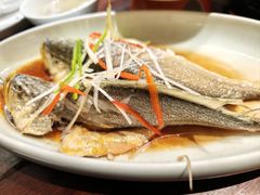 油泼深海黄花鱼-前海沿·青岛菜(五四广场永旺店)