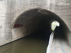 -白水寺森林公园