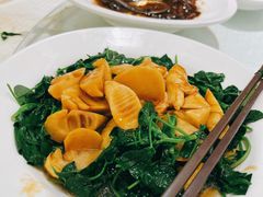 油焖笋-金时代顺风大酒店(协泰店)