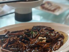 -泰康之家·申园