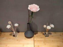 -FineYoga梵音瑜伽·普拉提