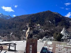 -稻城亚丁景区-冲古草甸