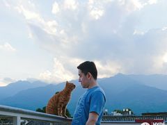 -喵屿·大理花园猫咖