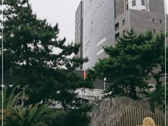-电谷雅阁国际大酒店