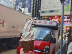 -富豪雪糕车流动点(尖沙咀)
