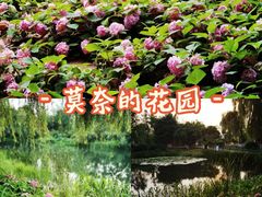 -金银湖国家城市湿地公园
