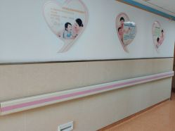 -上海市嘉定区妇幼保健院