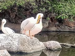 -昆明动物园