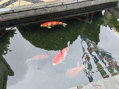 -西安市广仁寺