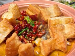 段氏绝味鱼头-柿合缘新京菜(国金中心商场店)