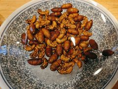 -鸽子窝(宋庄店)