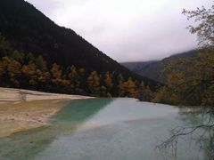 -黄龙山原始森林景区