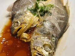 -羲和雅苑•北京烤鸭(国贸商城店)