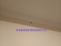 -青岛香根温泉酒店