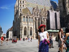 -斯蒂芬主教座堂(Stephansdom)