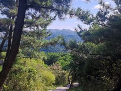 -金龙寺国家森林公园