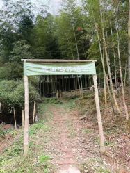 -金芙美月子中心(财富别墅店)