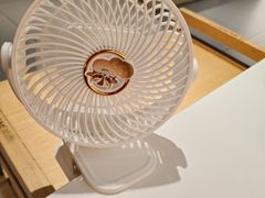 -陈记顺和潮汕鲜牛肉火锅(西门口广场店)