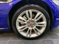 -XPEL旗舰店·汽车贴膜·隐形车衣·改色贴膜