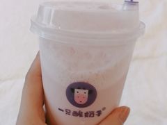 -一只酸奶牛(八一路店)