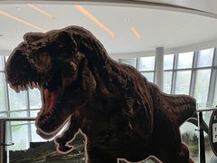 -星河寰宇IMAX影城(星河WORLD·COCO Park店)