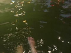 -天目湖御水温泉·度假酒店