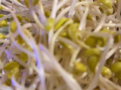 -城墙拐拐火锅(三峡广场黑金冠店)