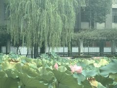 -四川大学(望江校区)