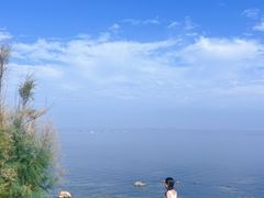 -养马岛旅游度假区