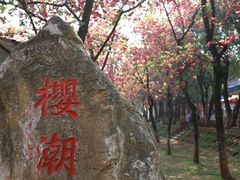-昆明动物园