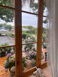 -DORA kids 朵拉儿童摄影花园店