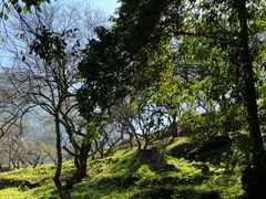 -广州市石门国家森林公园