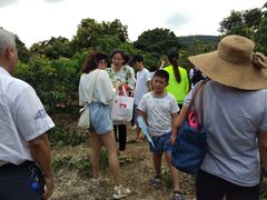 -从化深英荔枝黄皮龙眼采摘园