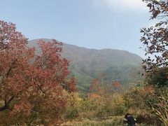 景点-塔川景区