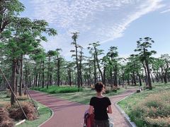-芒洲湿地公园