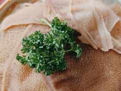 -蒙都43°9羊火锅·赤峰美食(宁城店)