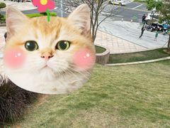 -白石龙音乐公园