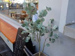 -CoffeeVendor(西乡店)