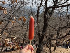 -青岩寺风景区