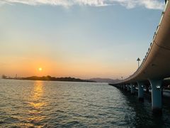 -演武大桥观景平台