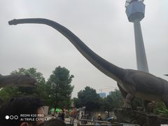 -陕西自然博物馆