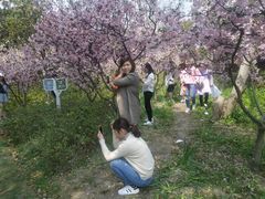 -昆山城市生态森林公园