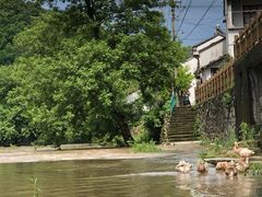 -鹿亭中村