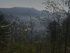 -黄椅山火山森林公园