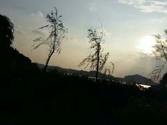 -东莞植物园
